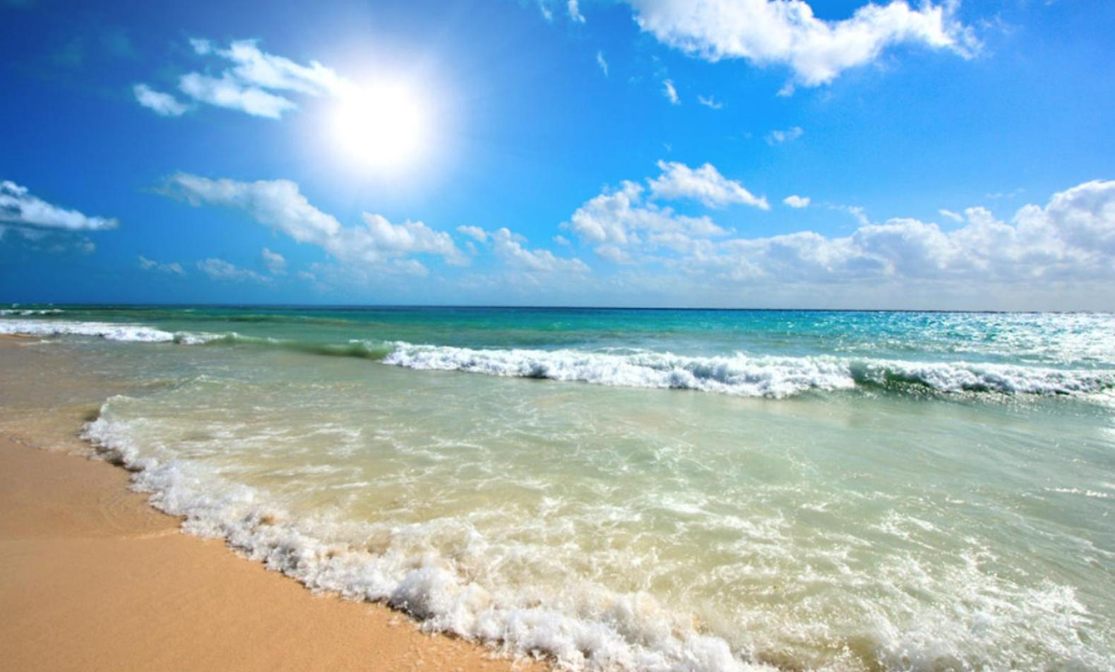 Sunny View Central 3401 Studio Sunny Beach Dış mekan fotoğraf